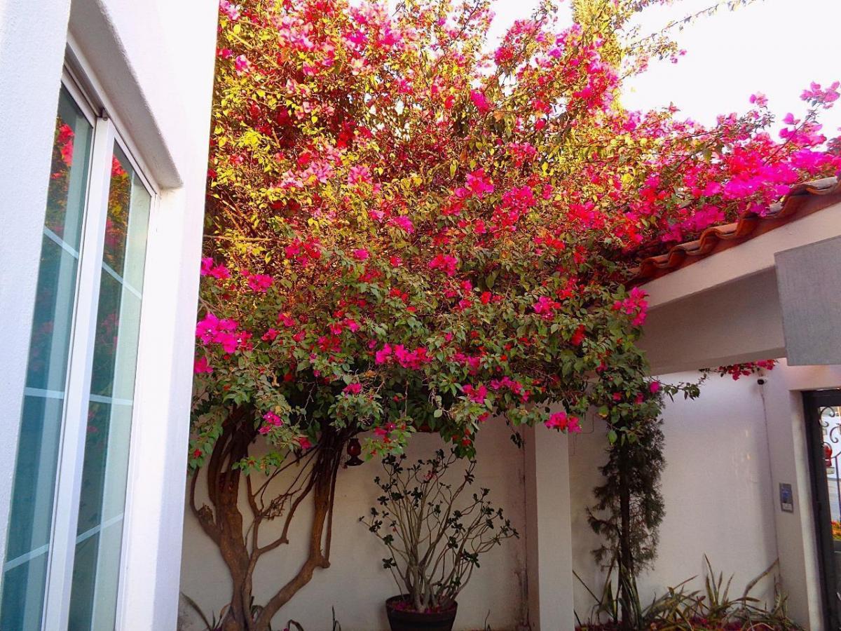 casa-en-fraccionamiento-rincon-colonial - Vista 22