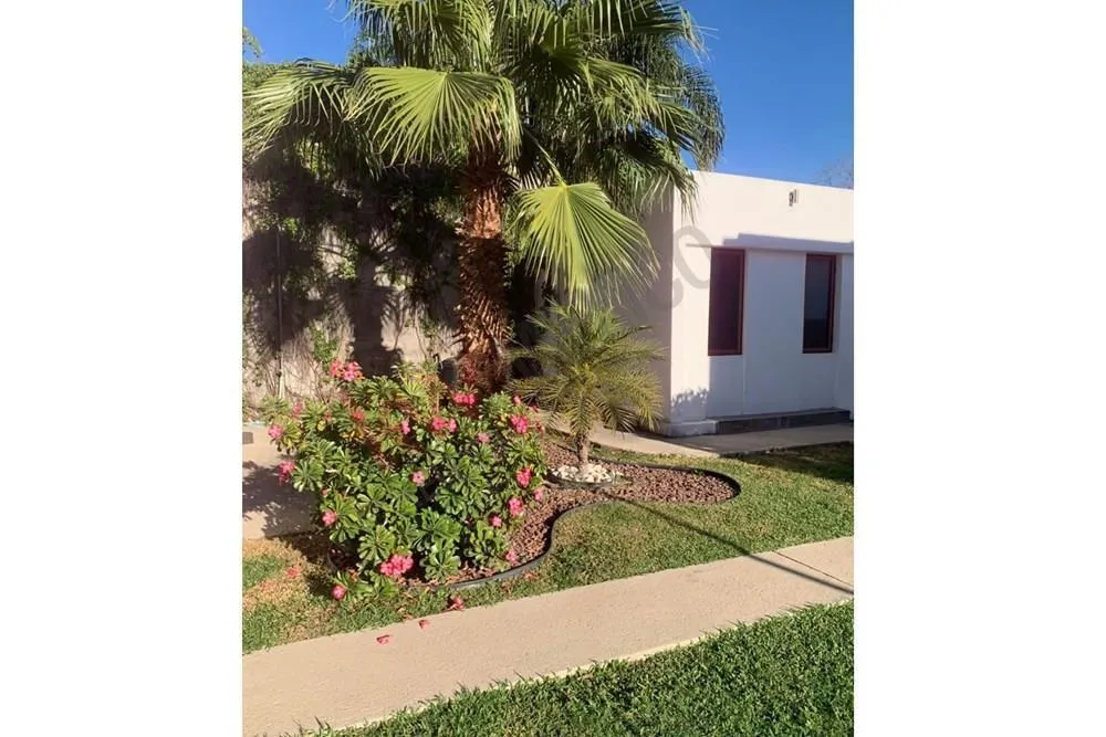 Prol. Álvaro Obregón 768, Culiacán foto 3