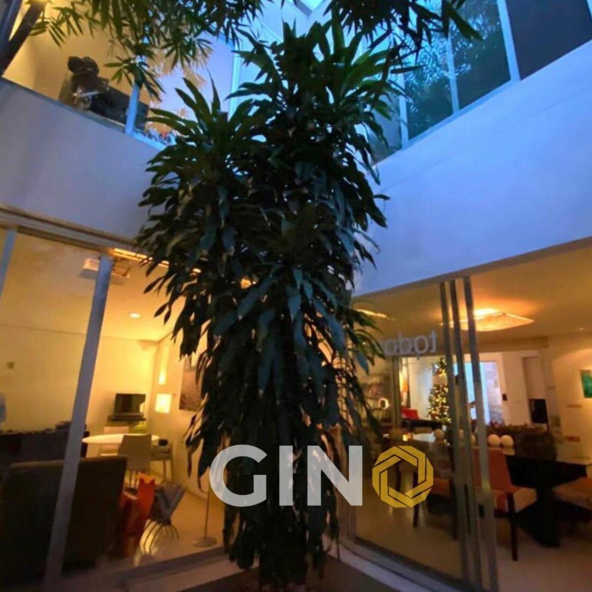 Casa en Venta en Colonia Chapultepec Culiacán