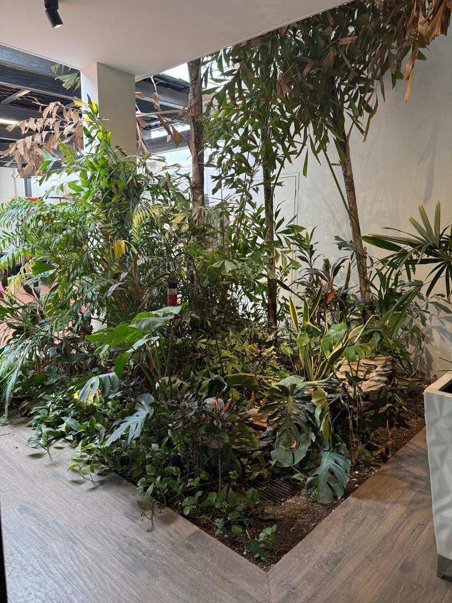 casa-en-venta-en-sector-tres-rios-culiacan - Vista 15