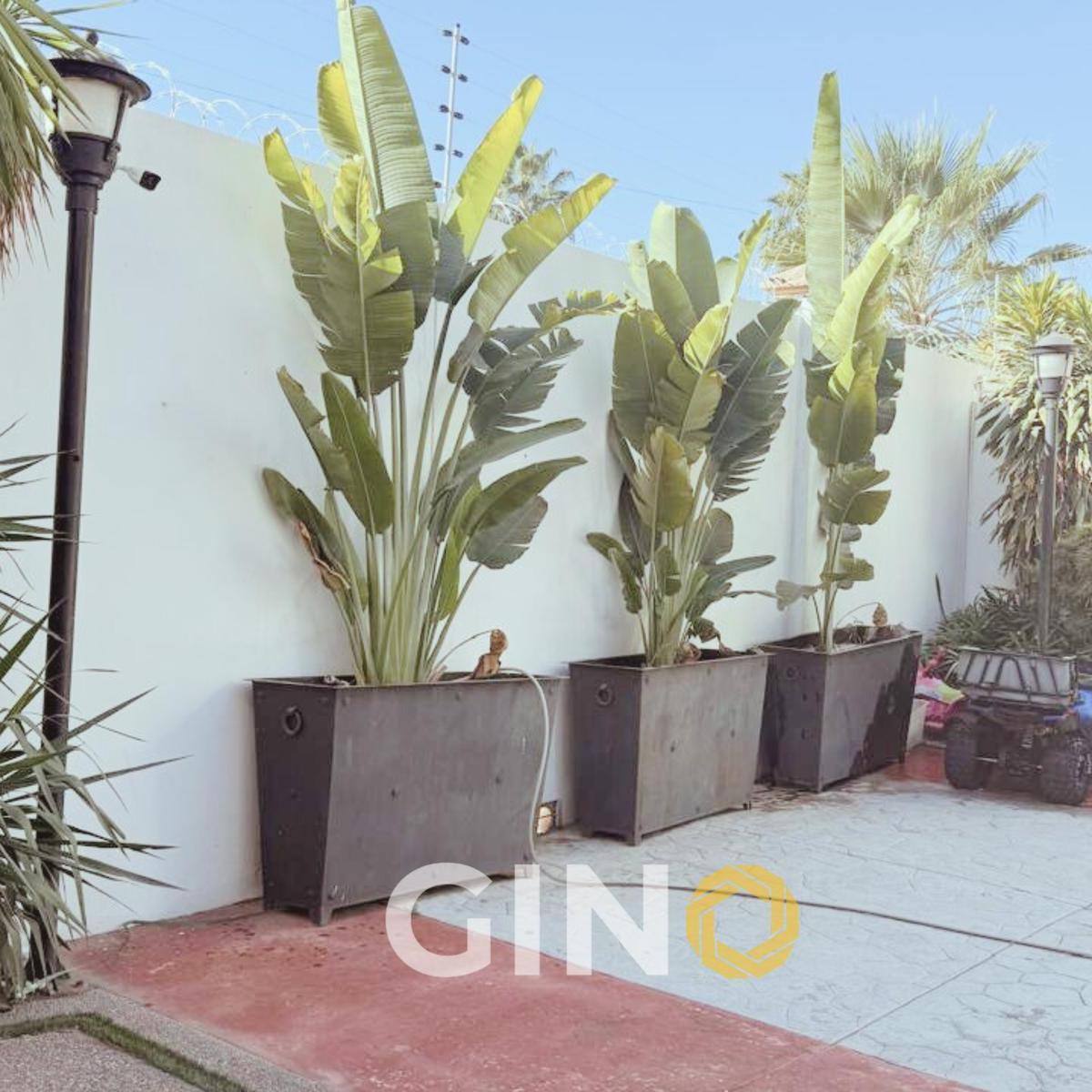 Casa en Venta en Sector Tres Rios Culiacán