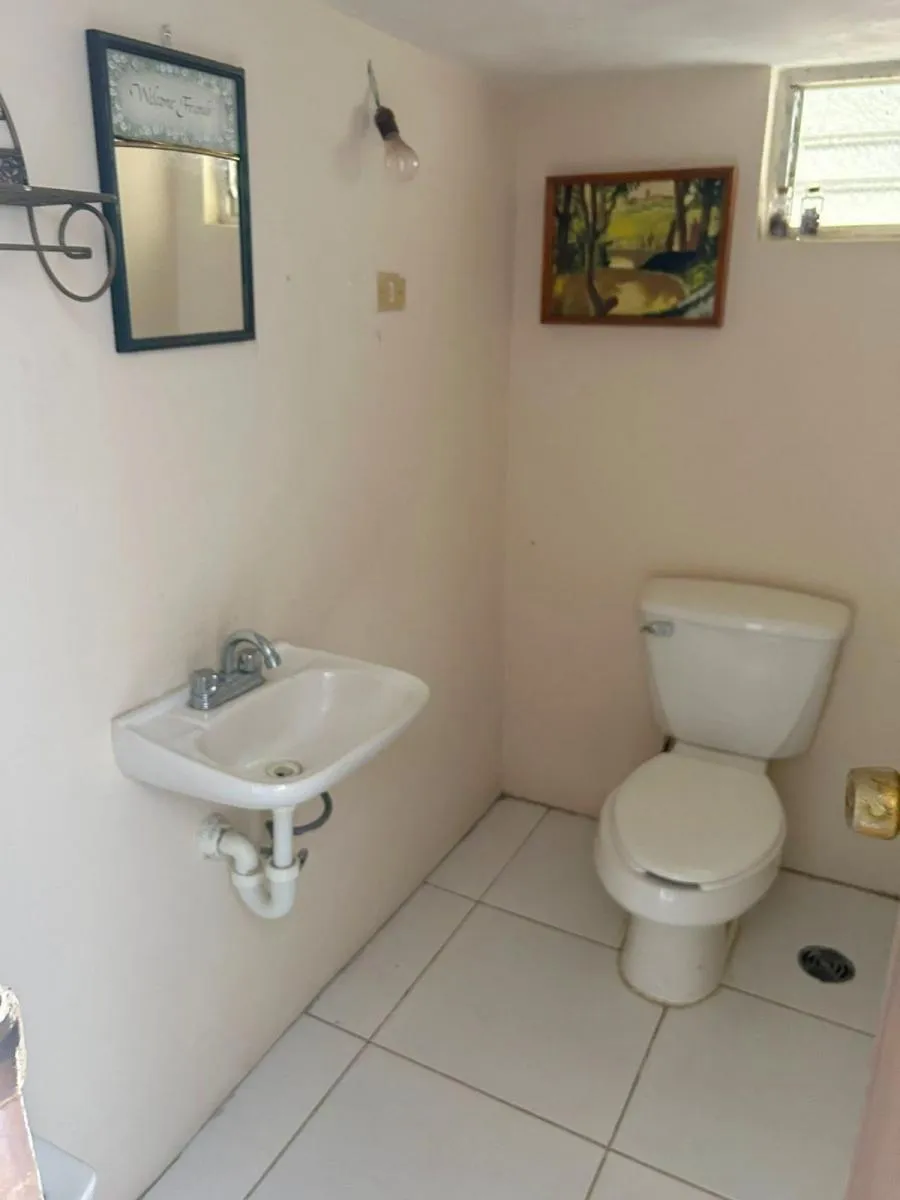 Nuevo Culiacan, Culiacán foto 3