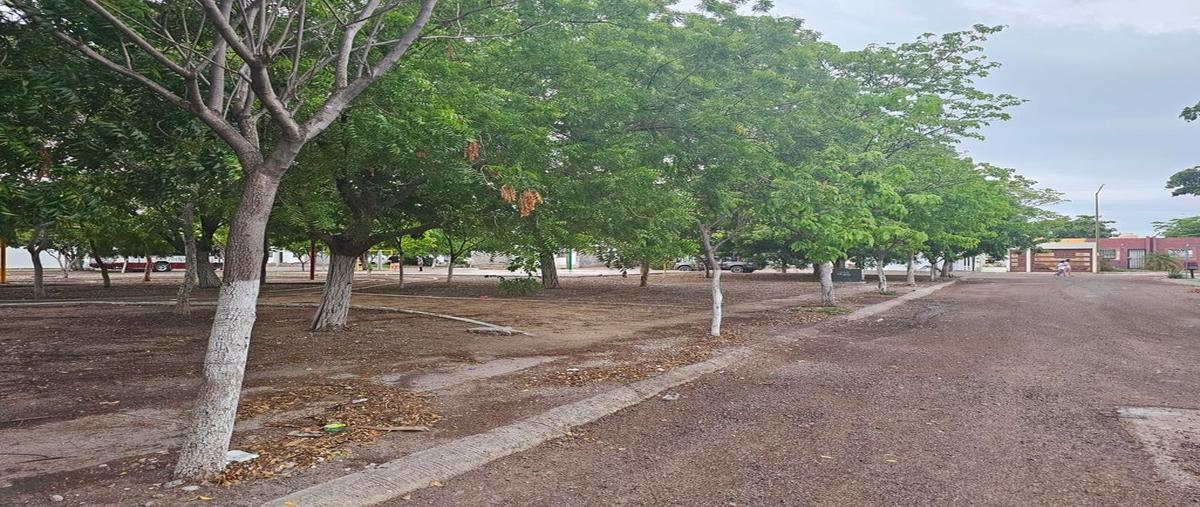 casa-venta-real-san-angel-842305 - Vista 9