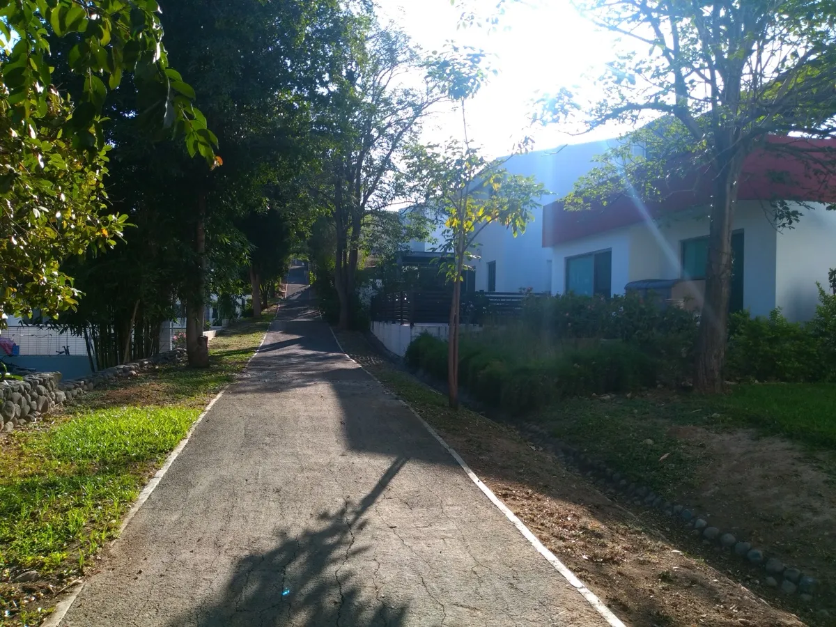 Privada San Agustín La Primavera foto 3