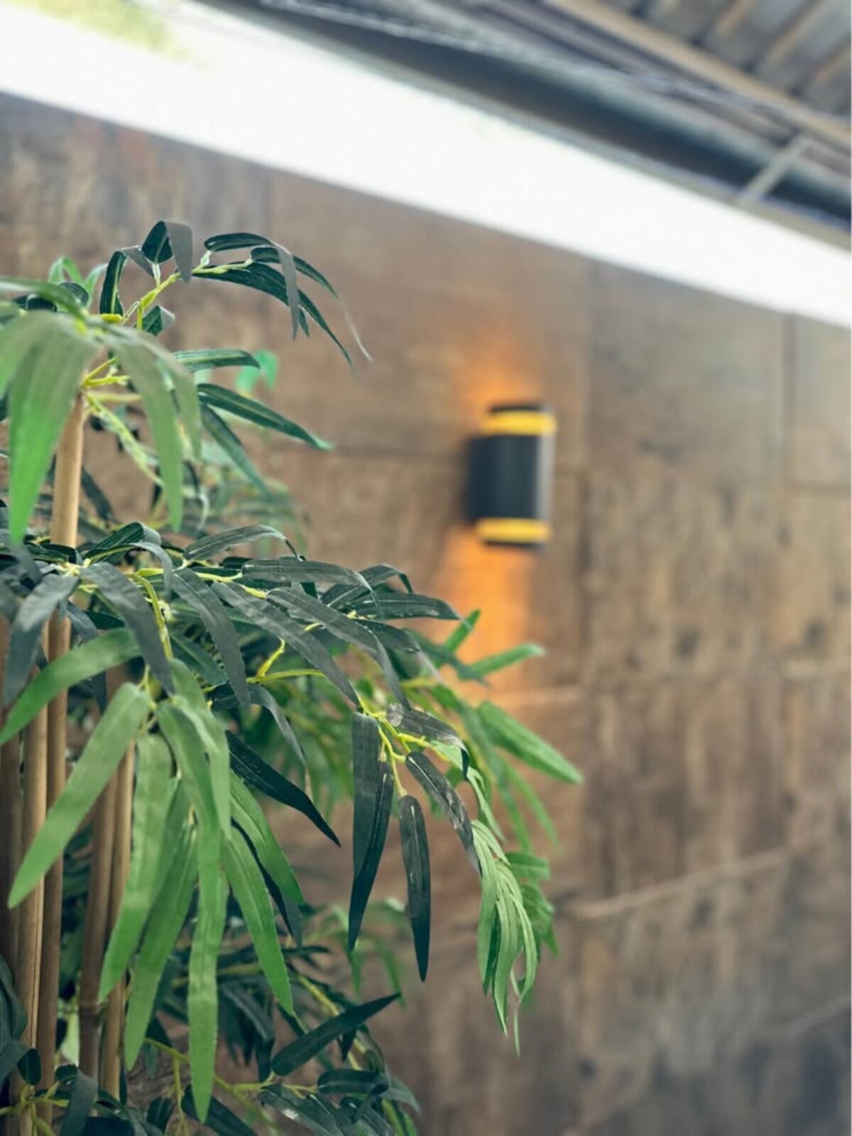 Área de lavado semi techada con conexiones completas